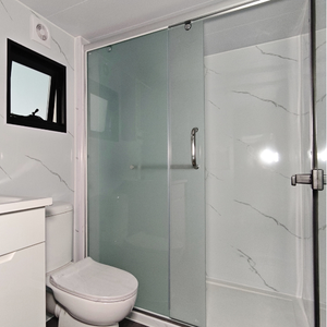 Glass Sliding Shower Door