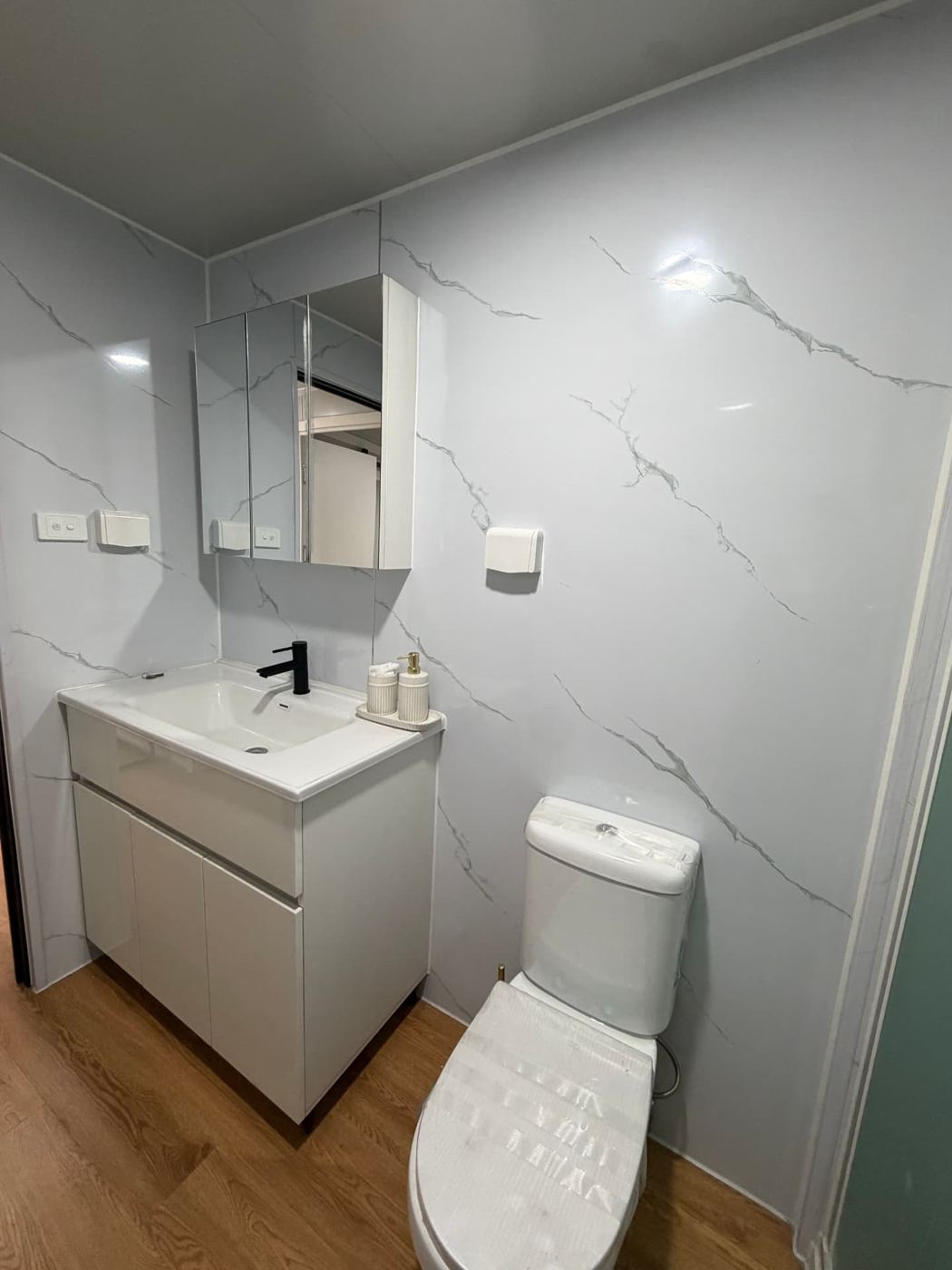 Bathroom vanity with mirrored storage cabinet and toilet