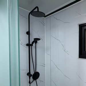 Dual Showerheads