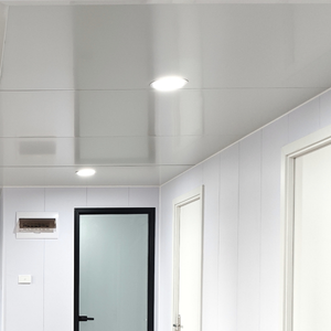 LED Down Lights